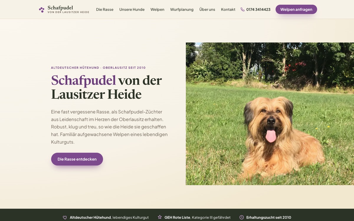 Website Schafpudel Lausitzer Heide – Desktop
